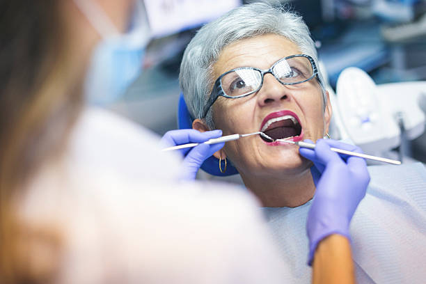 Professional  Holistic Dental Services in Glen Carbon, IL